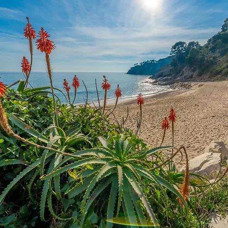 Sea Breeze Vista Mar Piscina Privada Aire Acondicionado 度假居 滨海托萨